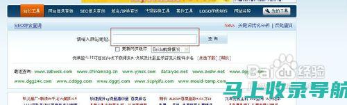 全新解读站长之家查询工具，提升网站管理的效率与质量